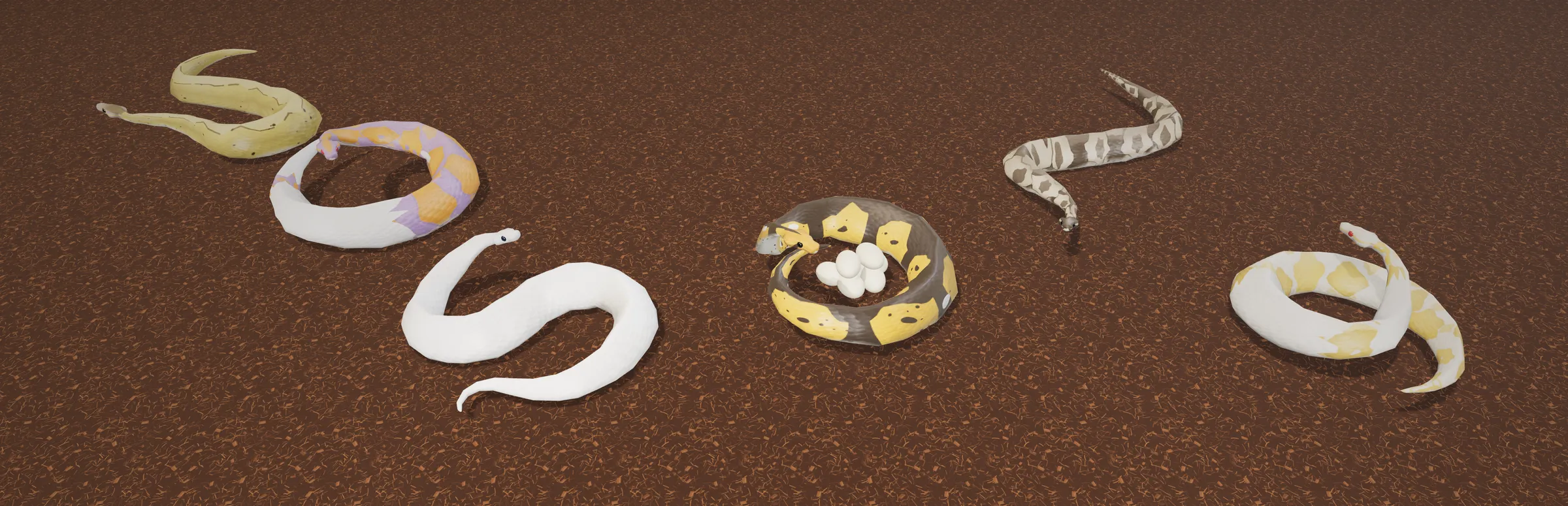Six ball python morphs from Lock and Lay laid out on brown substrate